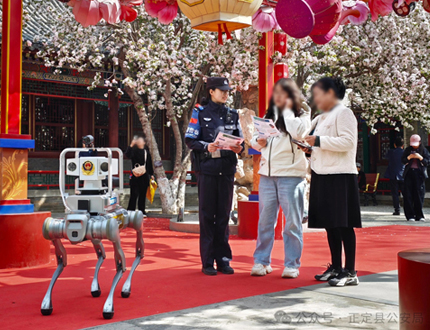 <b>正定古城“反詐顯眼包”出圈！武漢世隆科技智能巡檢機器狗帶火文旅新體驗</b>